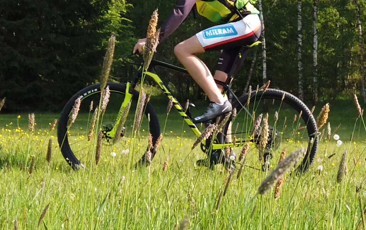 scott scale world cup 2019